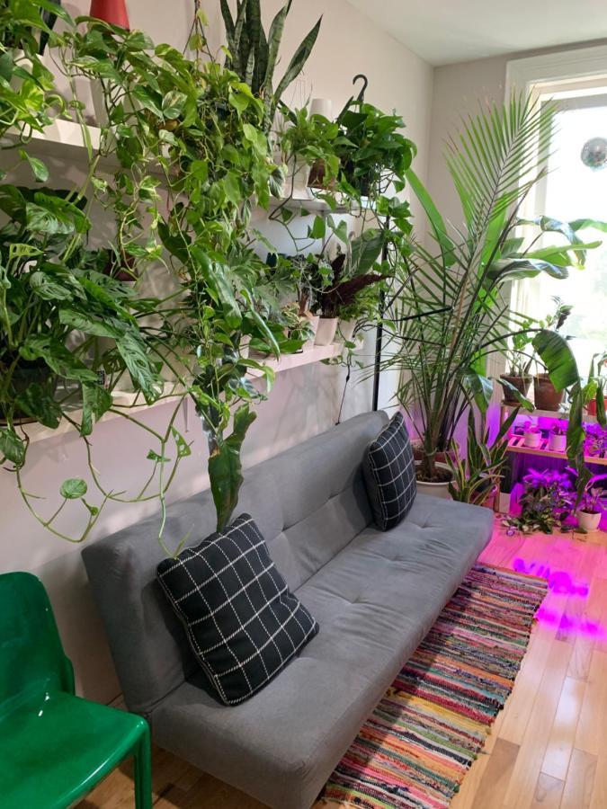 Urban Jungle Oasis In Queens! Nova York