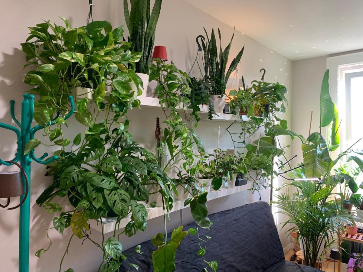 Hospedagem domiciliar Urban Jungle Oasis In Queens! *
